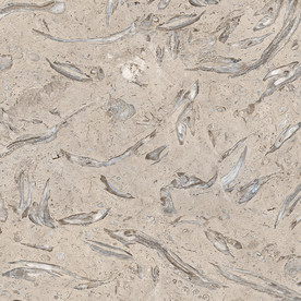 欧式大理石通道分色