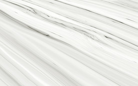 大堂新天然鱼肚白 tif合层