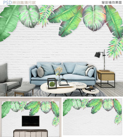 清新白墙热带植物背景墙