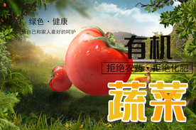 有机蔬菜