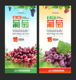 葡萄海报