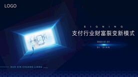 支付行业主背景