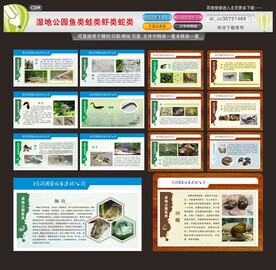 湿地公园鱼类蛙类虾类蛇类