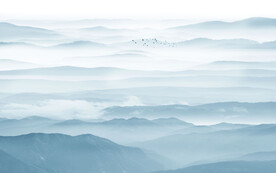 大气 中式客厅山水 Tif分层