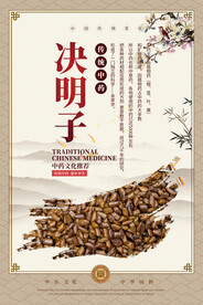 决明子中药海报