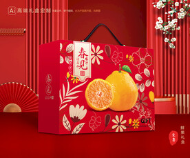 耙耙柑包装 水果礼盒