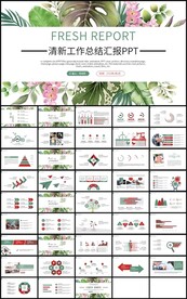 通用清新工作总结汇报PPT模板