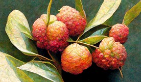 新中式手绘水果荔枝杨梅装饰画