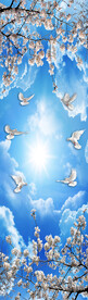 蓝天白云樱花