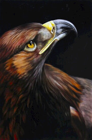 老鹰油画