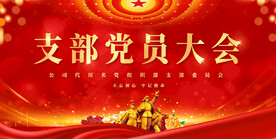 支部党员大会展板