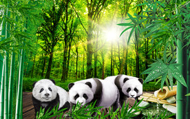 绿色森林大熊猫电视背景墙