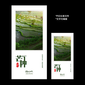 二十四节气芒种