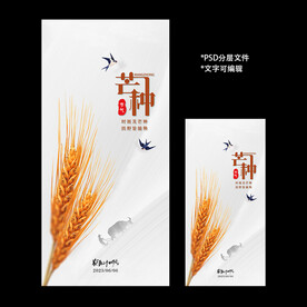 二十四节气芒种