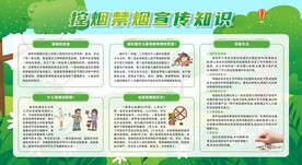 控烟戒烟禁烟健康教育宣传栏