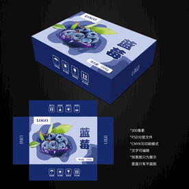 蓝莓包装