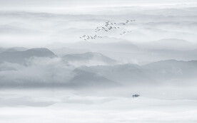 意境山水画电视背景