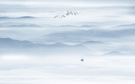 新中式意境水墨画背景墙