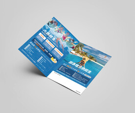 游泳健身预售折页图片