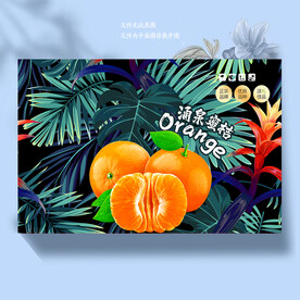 桔子包装