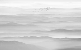 新中式餐厅水墨画墙画