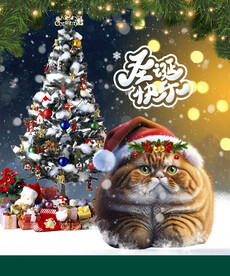 圣诞猫