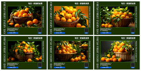 橙子水果海报