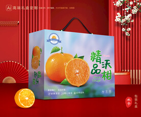 沃柑包装 蜜桔礼盒