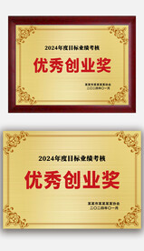 金色优秀创业奖荣誉奖牌铜牌金牌