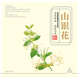 金银花山银花
