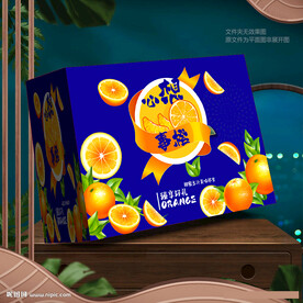 橙子包装 脐橙礼盒