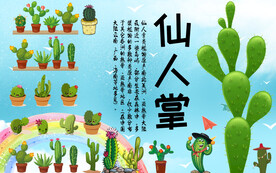 工装仙人掌背景