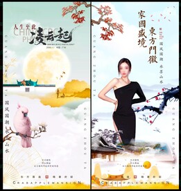 中国风国潮房地产 