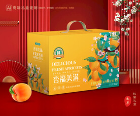 杏包装 黄杏礼盒