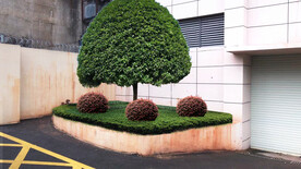 花池绿化改造效果图