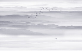 公司前台山水画背景墙