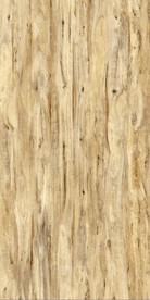 米黄色橡木木纹