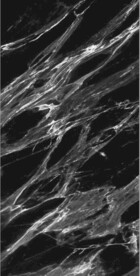 大理石石纹