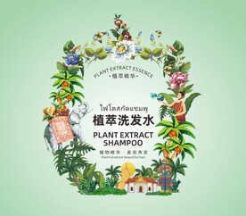 洗发水 包装图案