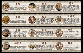 中药介绍