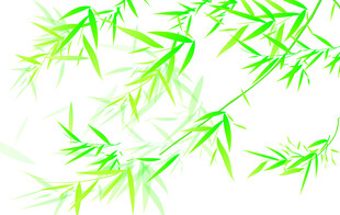 竹叶