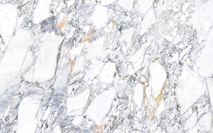 高清鱼肚白网纹大理石