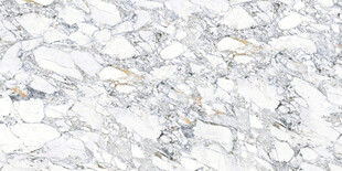 高清鱼肚白网纹大理石