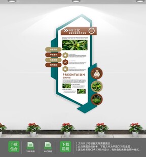 养生之道中医文化墙