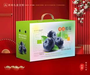 蓝莓包装 水果礼盒