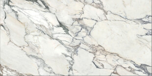 水墨大花白大理石