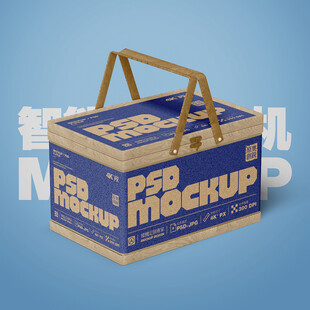 手提收纳盒样机