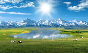 蓝天白云大草原