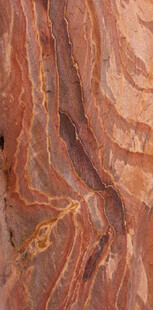 珊瑚红大理石石纹