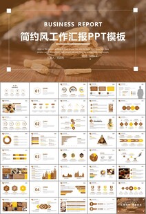 中医中药行业总结计划PPT